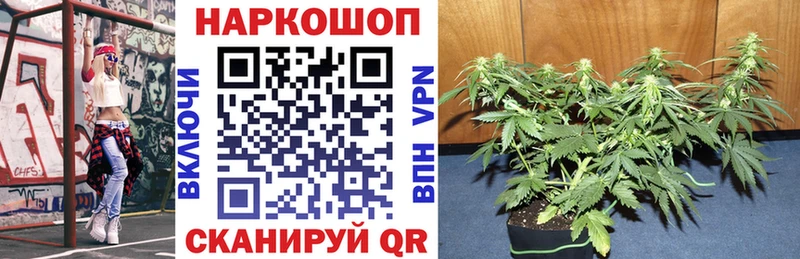 Наркотические вещества Волхов КОКАИН А ПВП Псилоцибиновые грибы МЕФ Кетамин мега ONION ГАШ