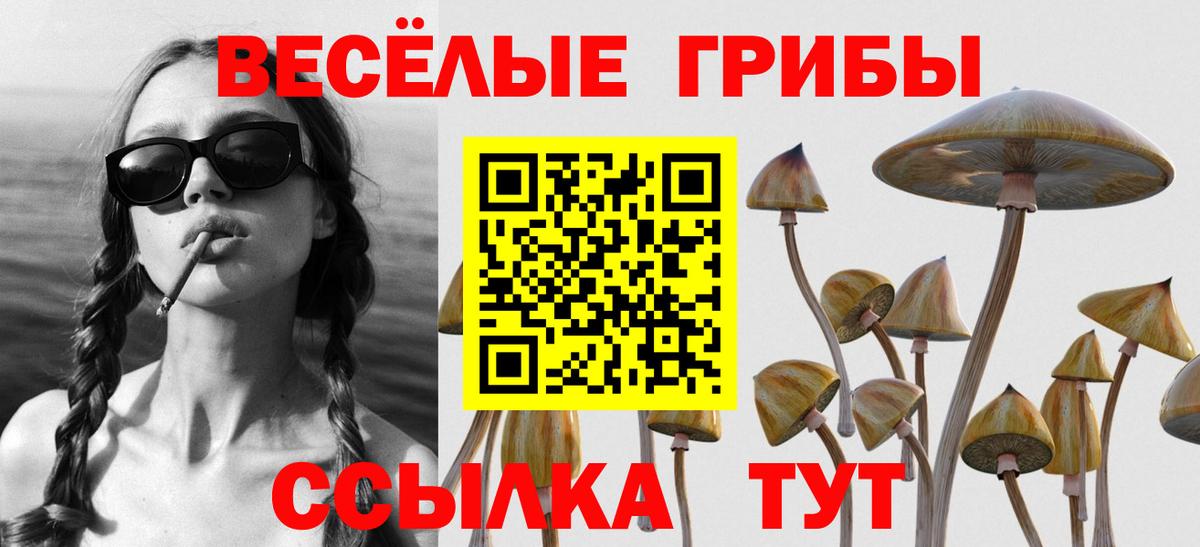 Волхов  Галлюциногенные грибы мицелий  Вход с VPN  Галлюциногенные грибы ЛСД 