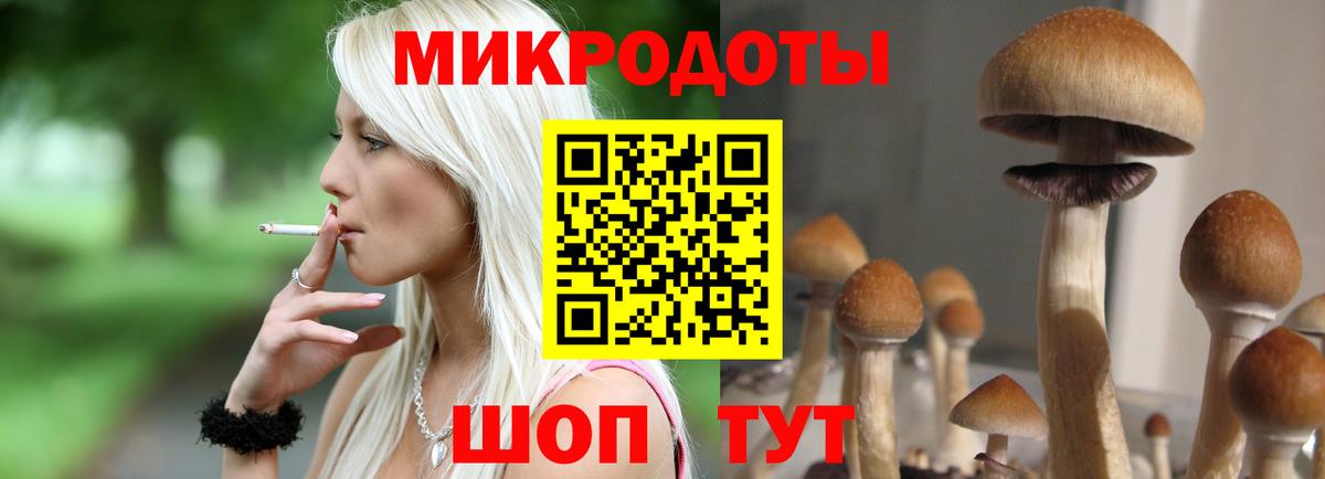 Галлюциногенные грибы MAGIC MUSHROOMS Волхов